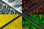 Why Cold Mix Asphalt Is the Go-To Fix for Driveway and Footpath Repairs